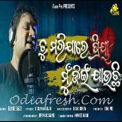 Tu Marijare Priya Mu Jein Jauchhi